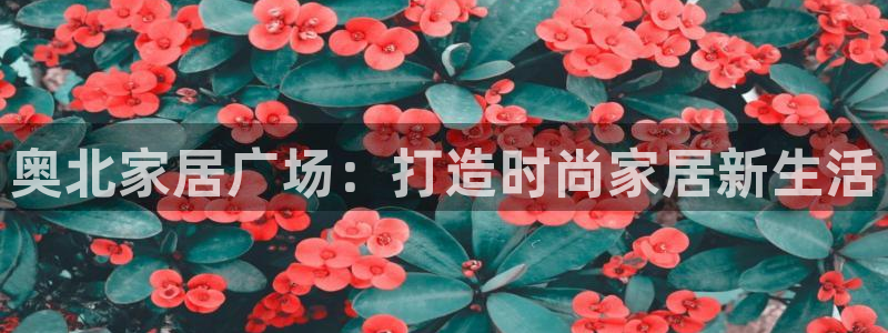 ug环球官网代理