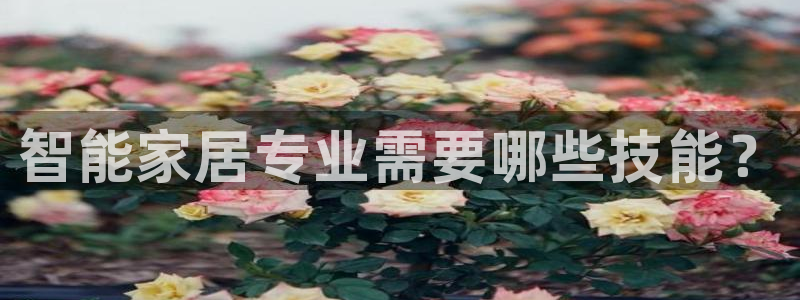 ug环球网站