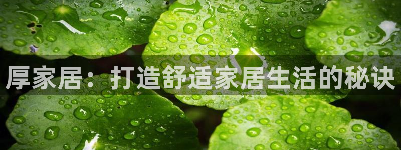 ug环球代理加盟