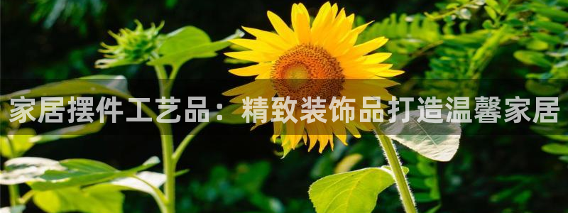 ug环球国际买分