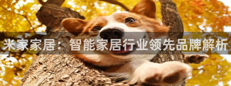 环球ug