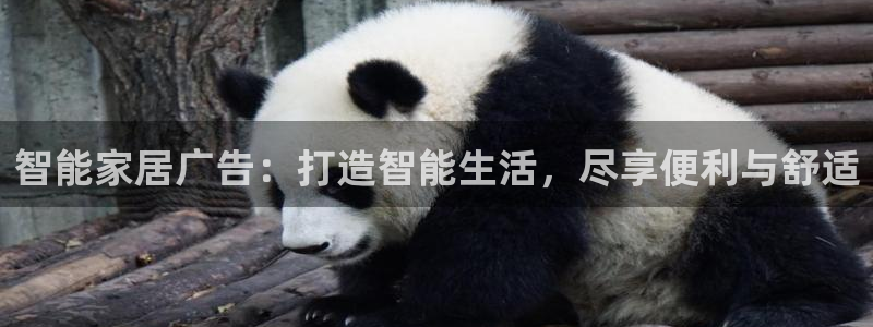 UG环球视讯