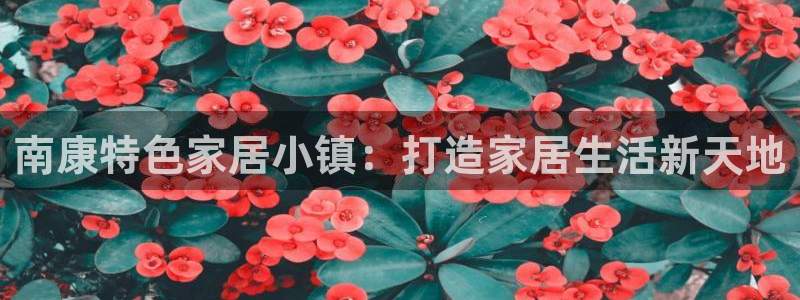 ug环球代理加盟