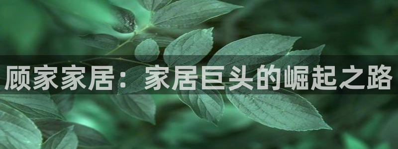 ug环球正网包杀