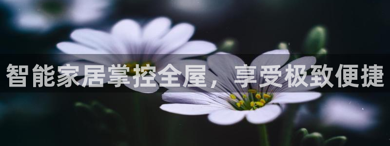 ug环球会员官方客服电话