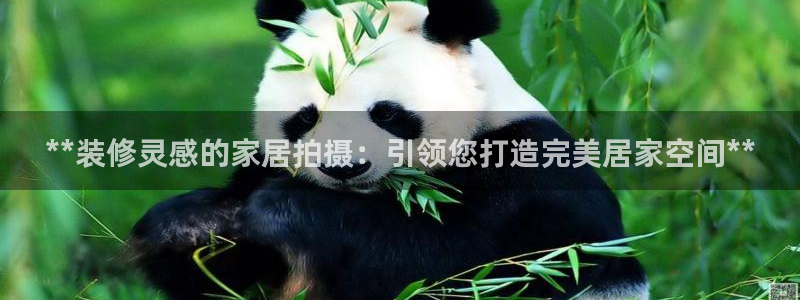 环球国际ug