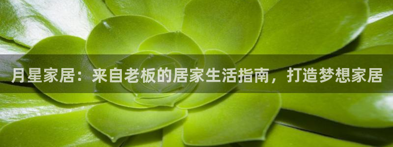 ug环球信用盘