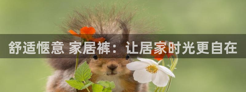 ug环球代理合作