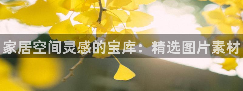 环球ug官网注册