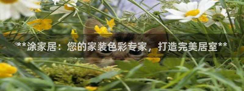 环球ug官网会员注册