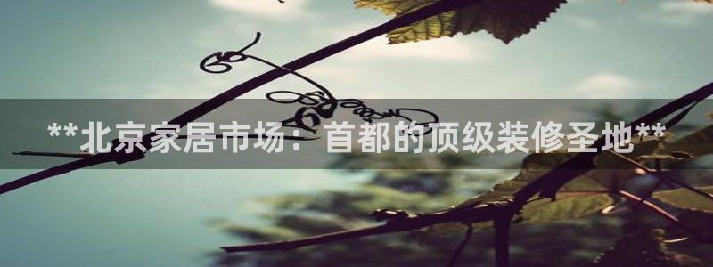 ug环球官网注册