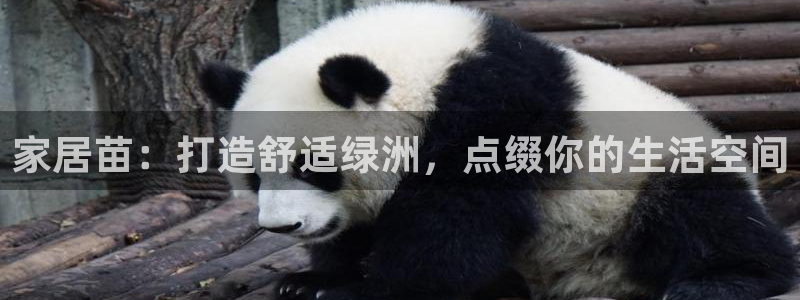 ug环球视讯官网网址