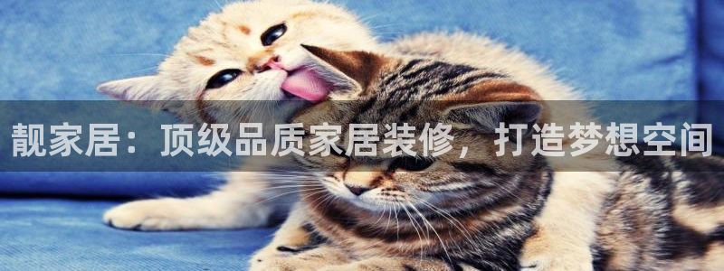 ug环球会员手机版下载