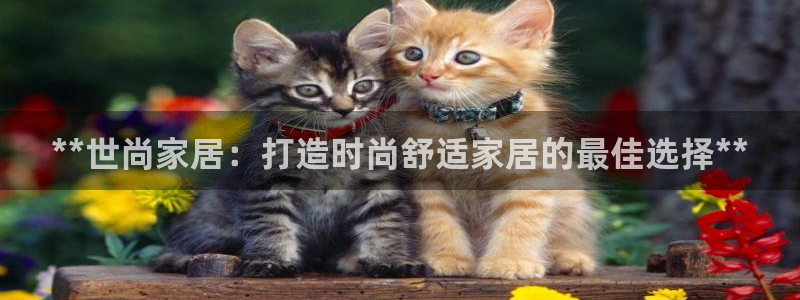 ug环球国际