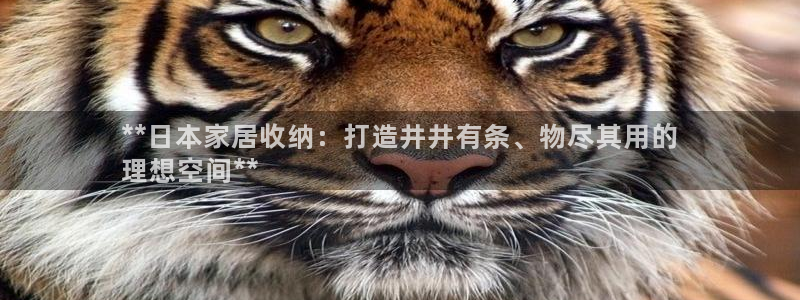 ug环球代理平台官网