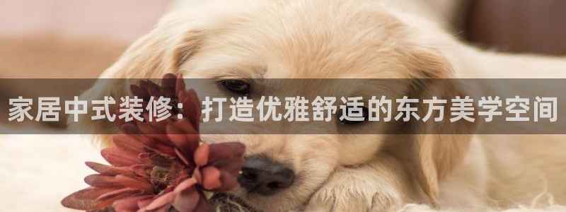 ug环球视讯官网网址