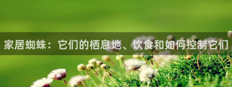 ug环球正网