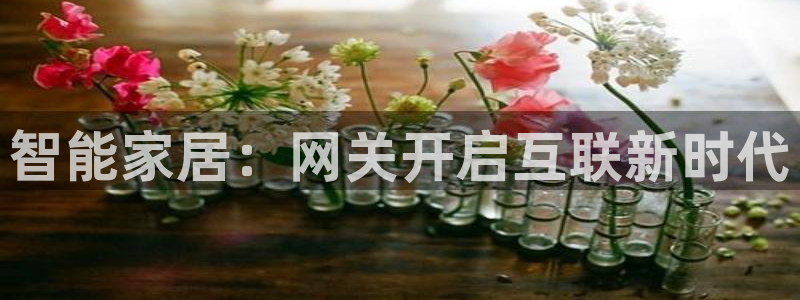 UG环球假网一比一包杀网