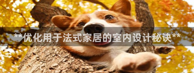 ug环球代理合作