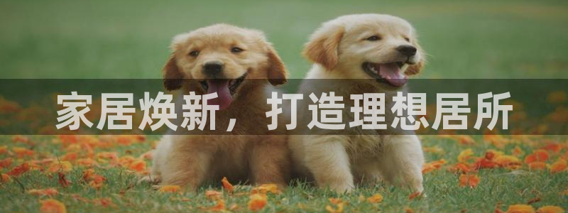ug环球360官网
