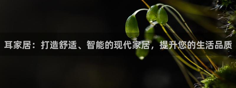 ug环球360