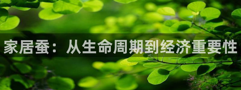 ug环球官网24小时