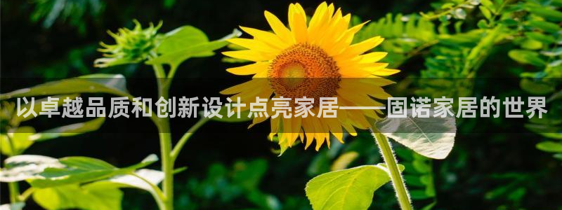 环球ug官网代理
