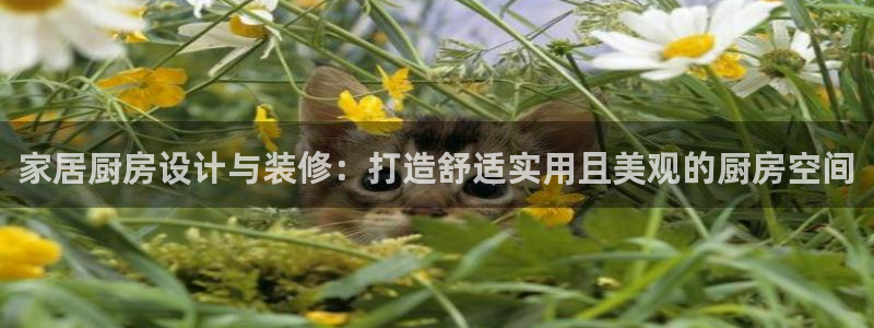uG环球网站