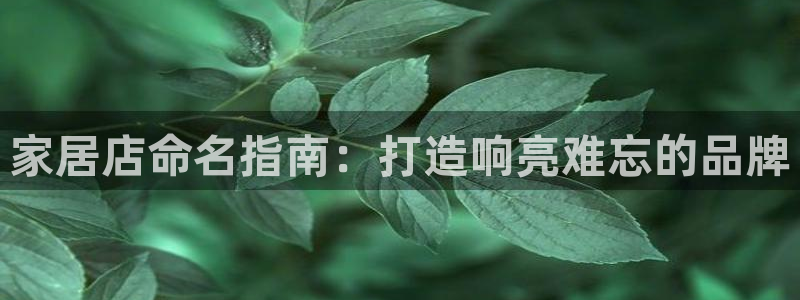 UG环球假网合作