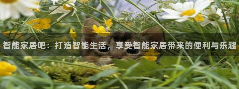 ug环球信用盘