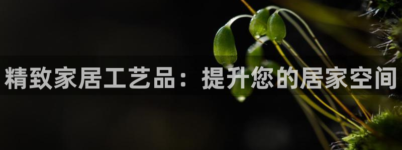 UG环球1比一