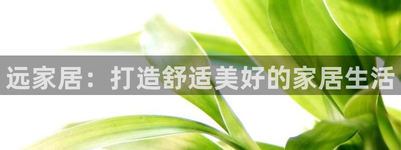 ug环球假网一比一