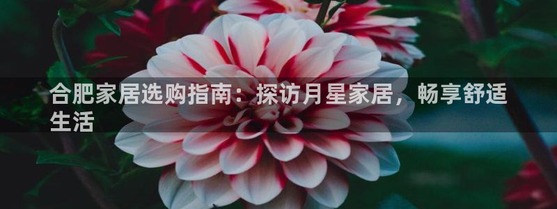 ug环球视讯真假