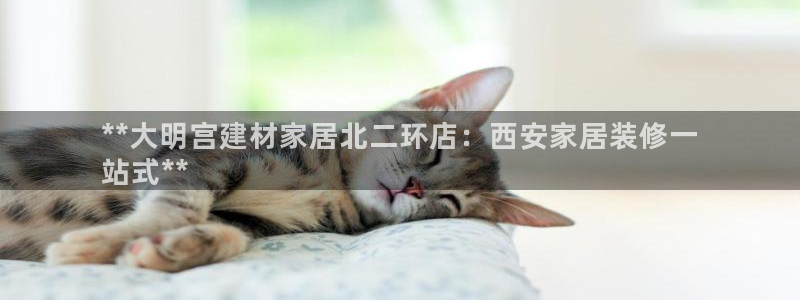 UG环球假网合作