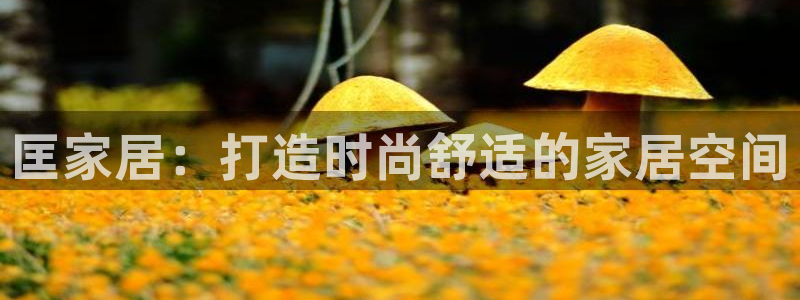 ug环球会员充值