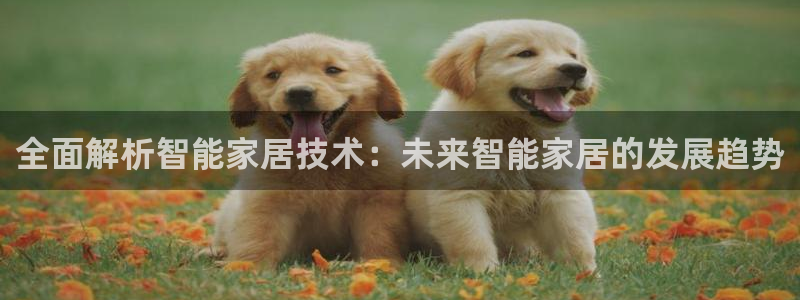 ug环球官网在线