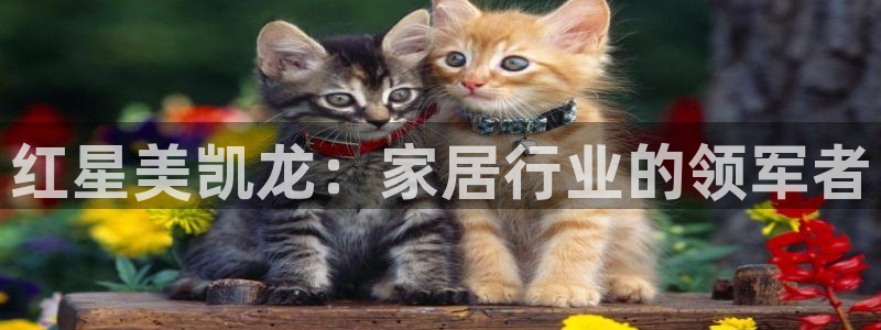 ug环球好假