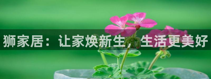 ug环球视讯真假