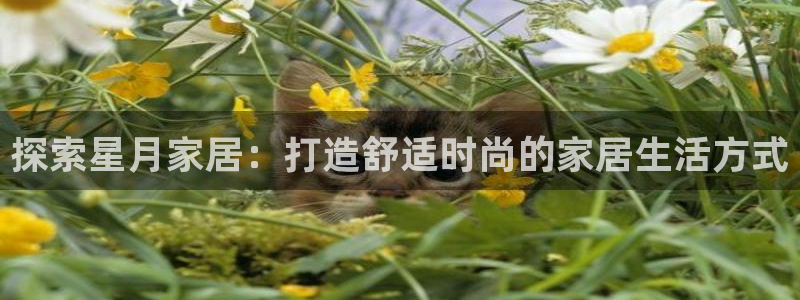 ug环球会员充值